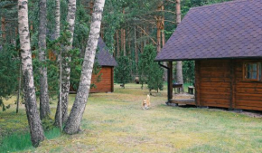 Niidupuu Camping, Mändjala